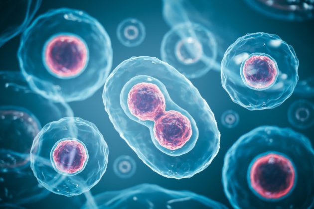 Von der Forschung zum Geschäftswert: Epi-Proteomik für Versicherer