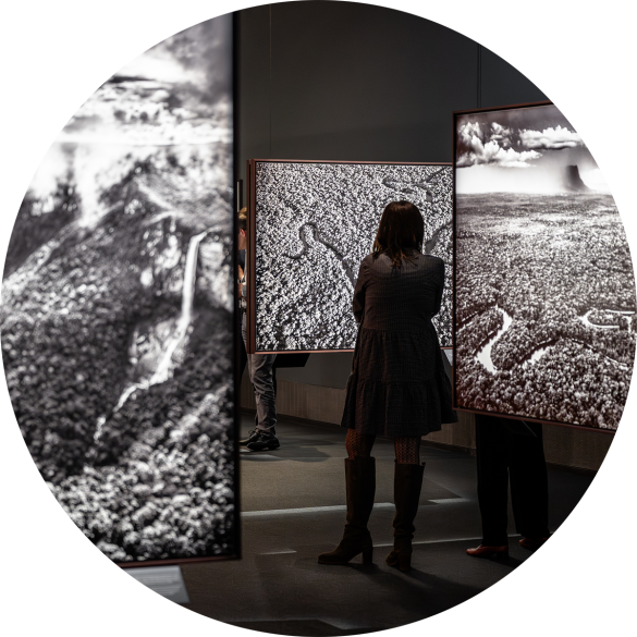 AMAZÔNIA Ausstellung